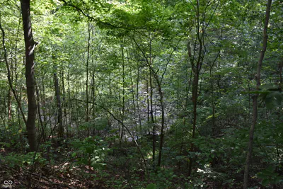 0 Sichting Road, Martinsville - 22