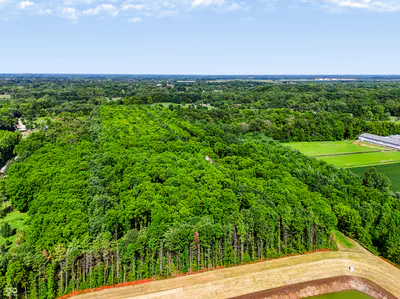 3205 Belle Arbres Lane, Westfield - 6
