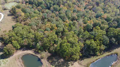 8476 Sycamore Road, Bloomfield - 40
