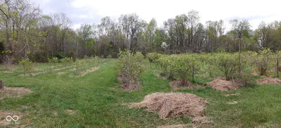 6821 W County Road 700 N, Freetown - 108