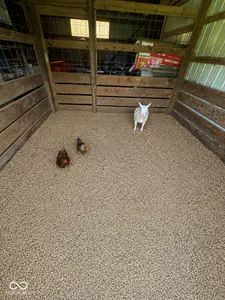 156 County Road 525, Danville - 47
