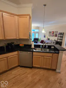 355 Ohio Street, Indianapolis - 9