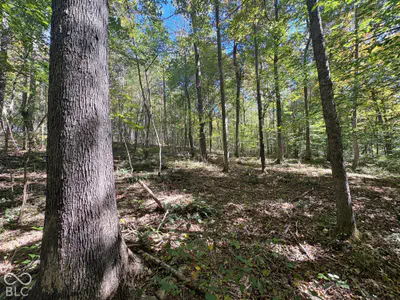 3920 N County Road 500 W, West Baden Springs - 14