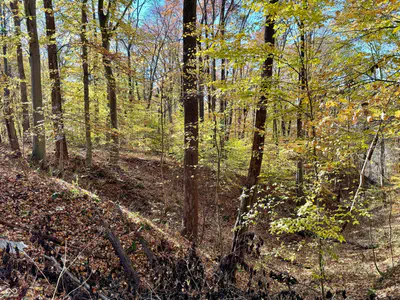 10151 Brann Road, Poland - 56