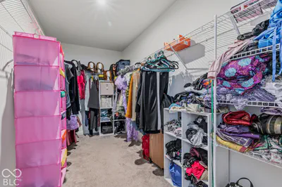 8672 Dutch Elm Way, Brownsburg - 27