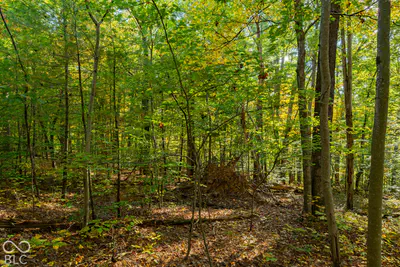 113 Hickory Knob Road, Nashville - 24