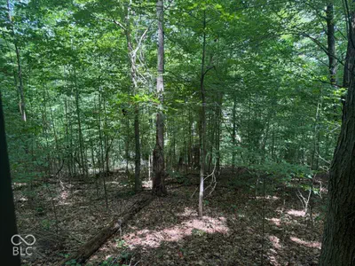 0 Buffalo Pike Road, Freetown - 4