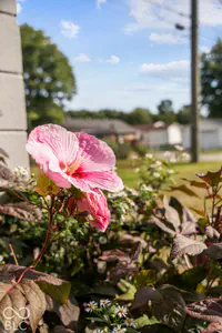 1190 Morgan Street, Martinsville - 32