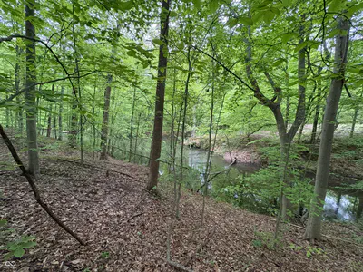 102 & 104 Crabapple Court, Reelsville - 2