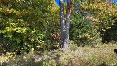 3255 Lemon Road, Madison - 19