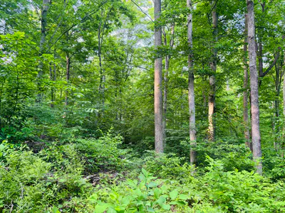 0 Laurel Road, Laurel - 7