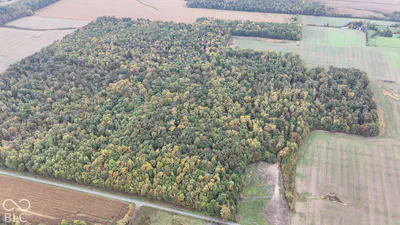 3949 E Thornton Road, Madison - 9