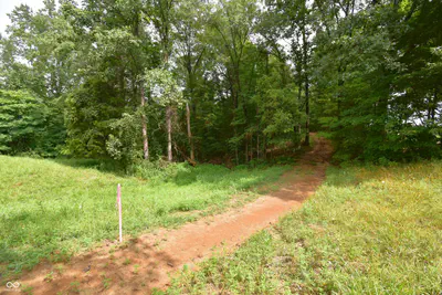 4203 Moorman Road, Batesville - 3