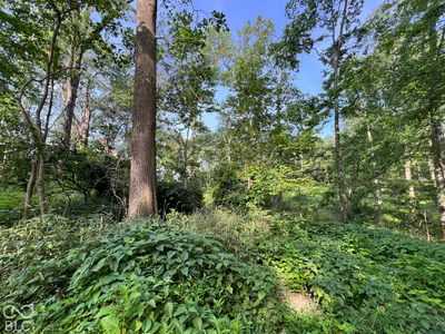15040 Lindsey, Milton - 25