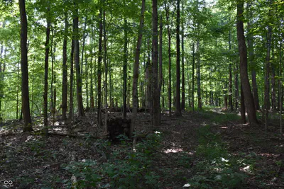 0 Sichting Road, Martinsville - 28