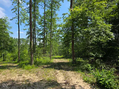 0 Blue Barn Road, Bloomfield - 36