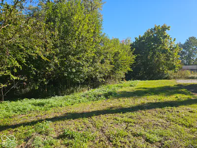 404 W Elm Street, Gaston - 11