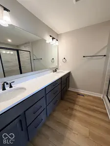 406 Elite Street, Westfield - 13