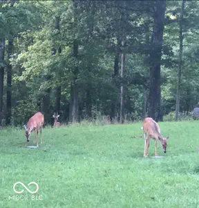 7062 County Road 190, French Lick - 27