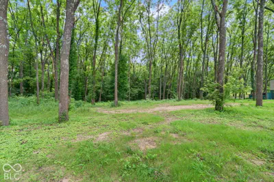 0 Maple Street, Alton - 11