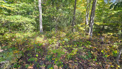 3255 Lemon Road, Madison - 15
