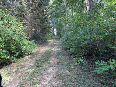4601 575 Road, Selma - 46