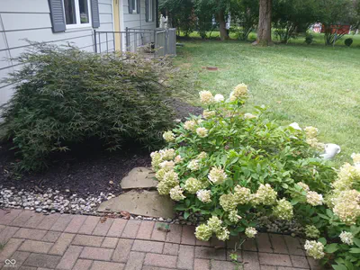 644 Lakeview Drive, Zionsville - 28