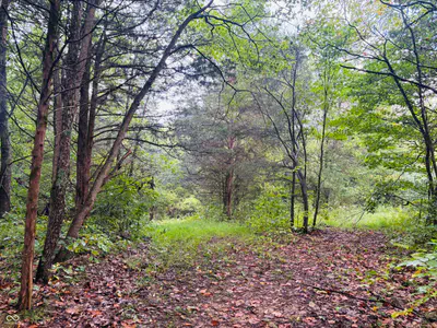 1 Snail Creek Road, Brookville - 14