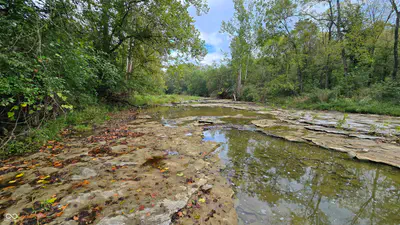 6847 Brushy Fork Road, Madison