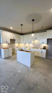 15143 Garden Mist Place, Fishers - 3