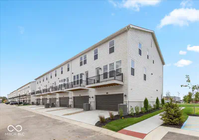 434 Elite Street, Westfield - 31