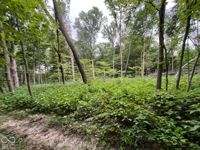 15040 Lindsey, Milton - 38