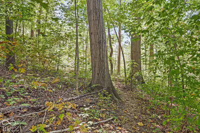 4238 S Carrie Drive, New Palestine - 72