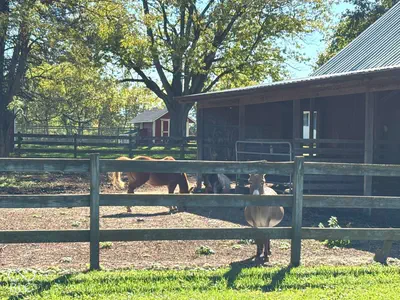 4404 S 50 W, Anderson - 47