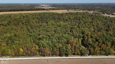 3255 Lemon Road, Madison - 31