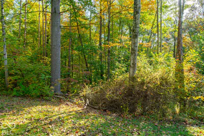 113 Hickory Knob Road, Nashville - 17