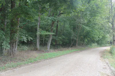 3490 Marlett Road, Nashville - 41