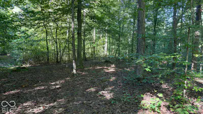 0 Michaels Road, Bloomfield - 24