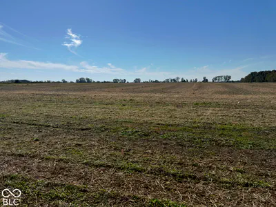0 State Rd 234 SR 234, Wilkinson - 4