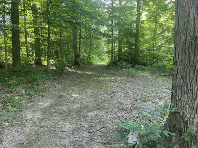 3812 E County Road 700 S, Cloverdale - 39