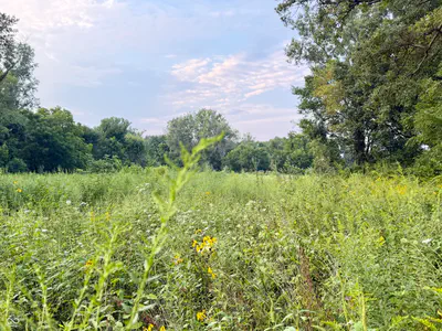 1732 250 West Road, Albion - 18