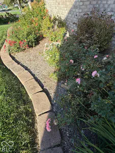 6658 English Oak Drive, Avon - 50