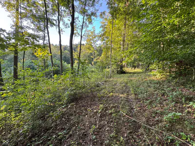 2436 Firecrest Lane, Freedom - 16