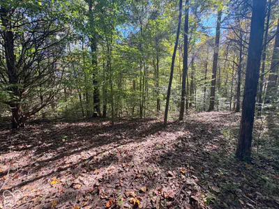 3920 N County Road 500 W, West Baden Springs - 4