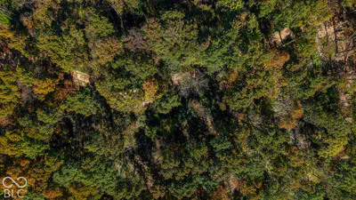 13290 E River Road, Shoals - 10