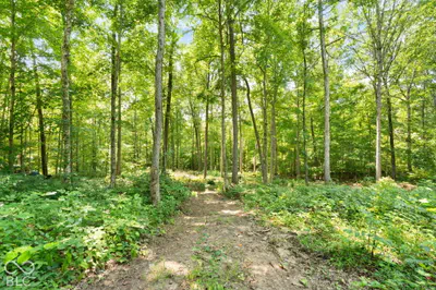7115 Co Rd 650 S Lot #8, Hardinsburg - 6