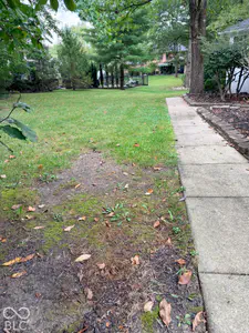 5203 Northwood Drive, Columbus - 8