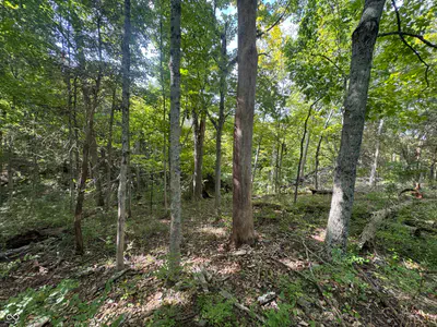 15839 State Road 156, Patriot - 25