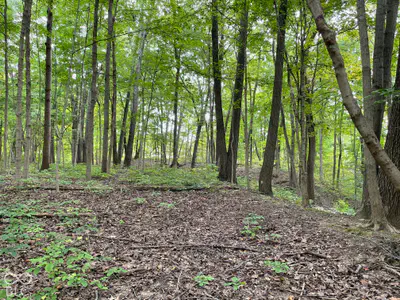 778 W Gasburg Lane, Mooresville - 69