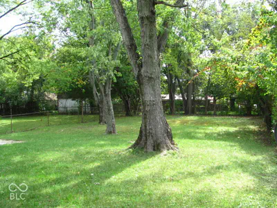 9625 Pepperidge Drive, Indianapolis - 3
